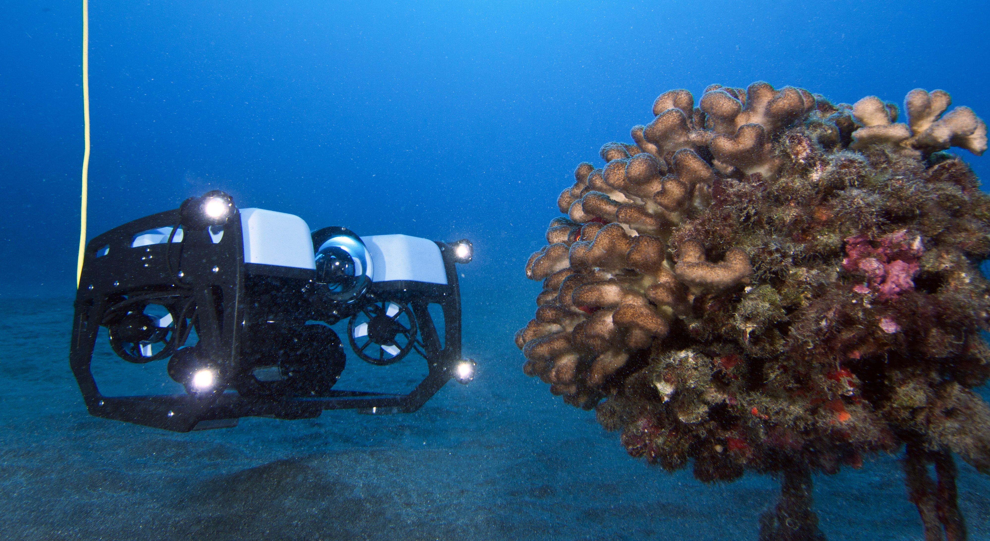 Blue robotics ROV