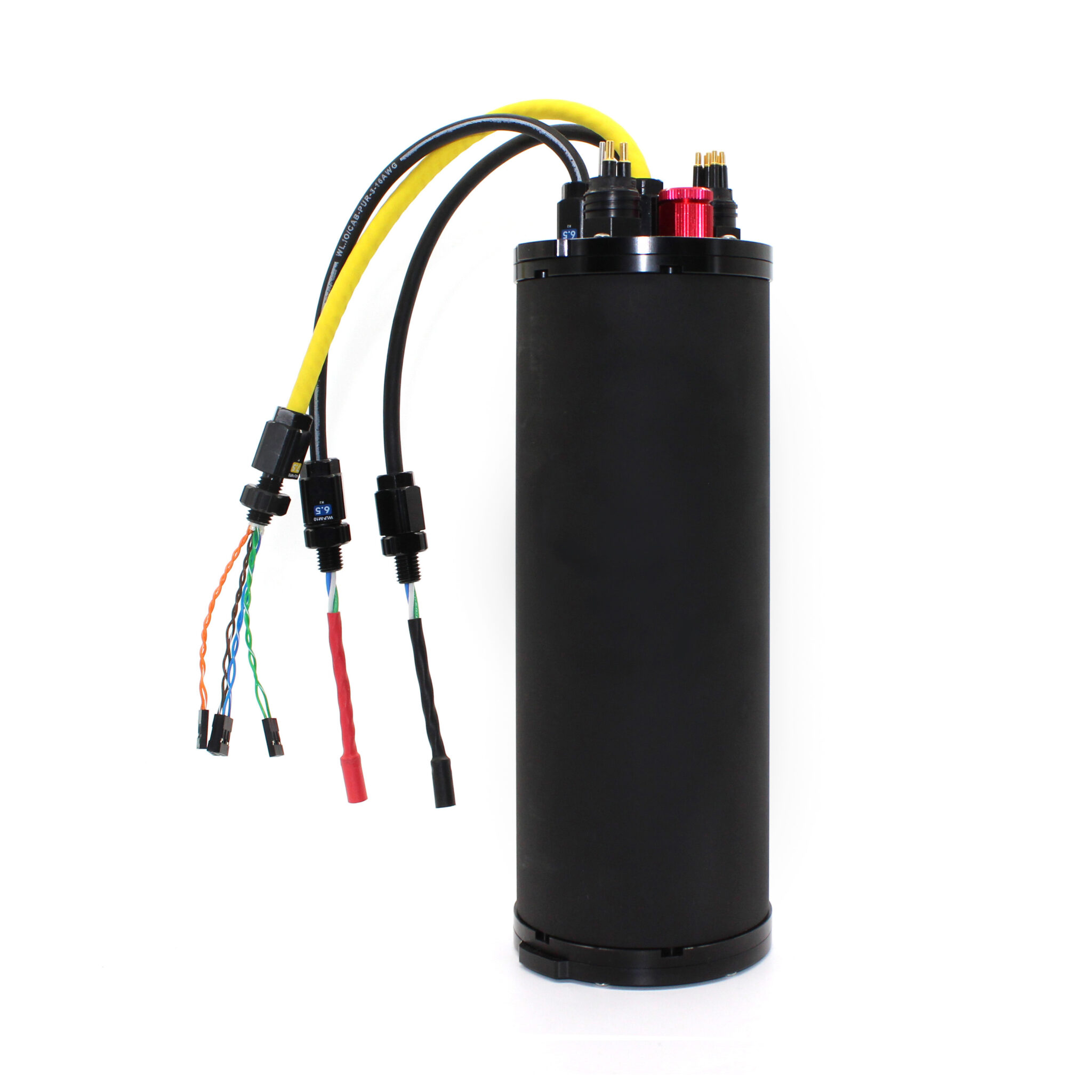 All The Reef - Blue Robotics