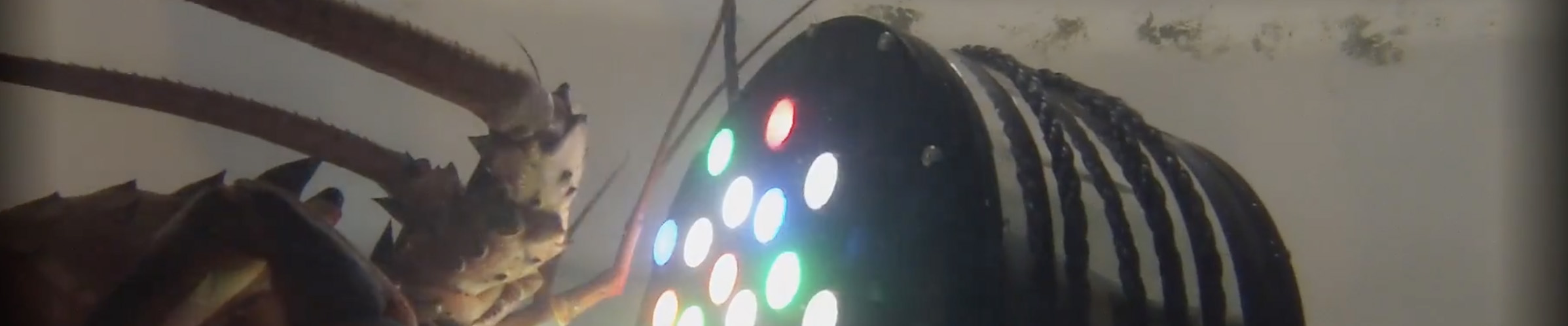 All Indicators - Blue Robotics