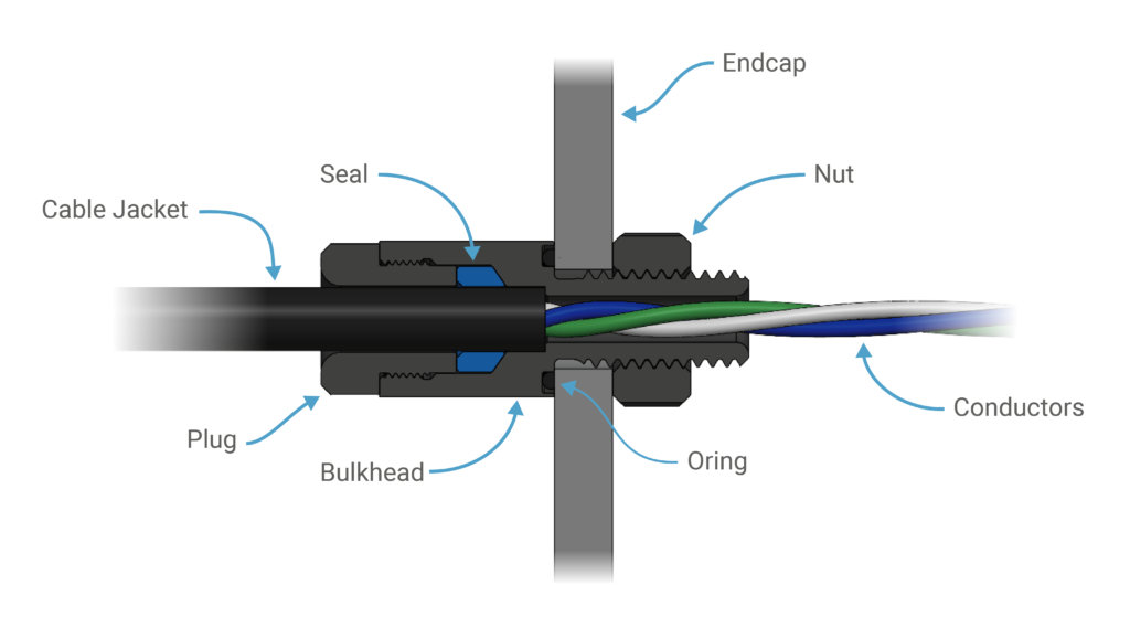 Cross section of a WetLink Penetrator installed through a bulkhead.