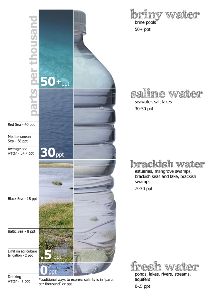 Water salinity by type