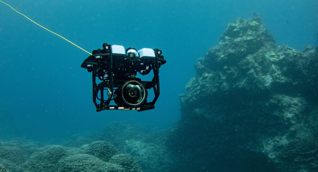 Underwater camera…is it worth it? - General Discussion Forum