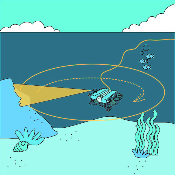 Scanning Imaging Sonar