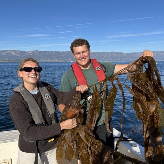 ocean-rainforest-team-kelp ocean-rainforest-team-kelp