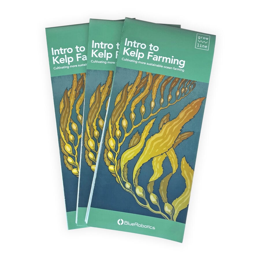 Intro to Kelp Farming Poster