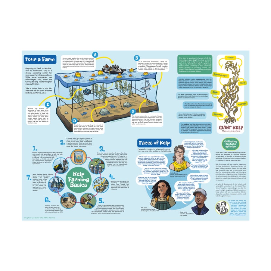 Intro to Kelp Farming Poster