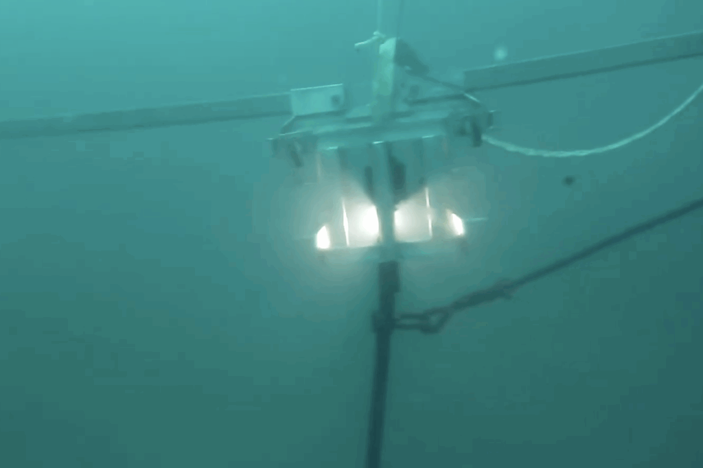 blurry underwater image of the rig