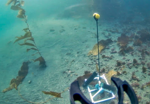 cam-on-cord-guide-16