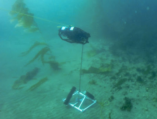 cam-on-cord-guide-17