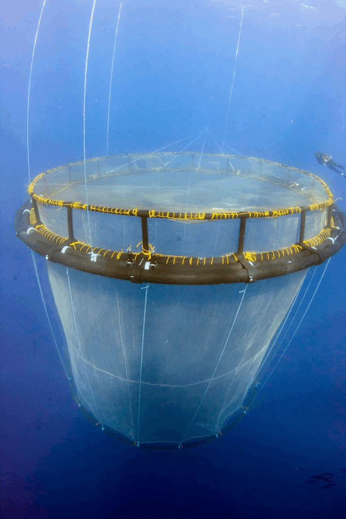 fish net in the ocean