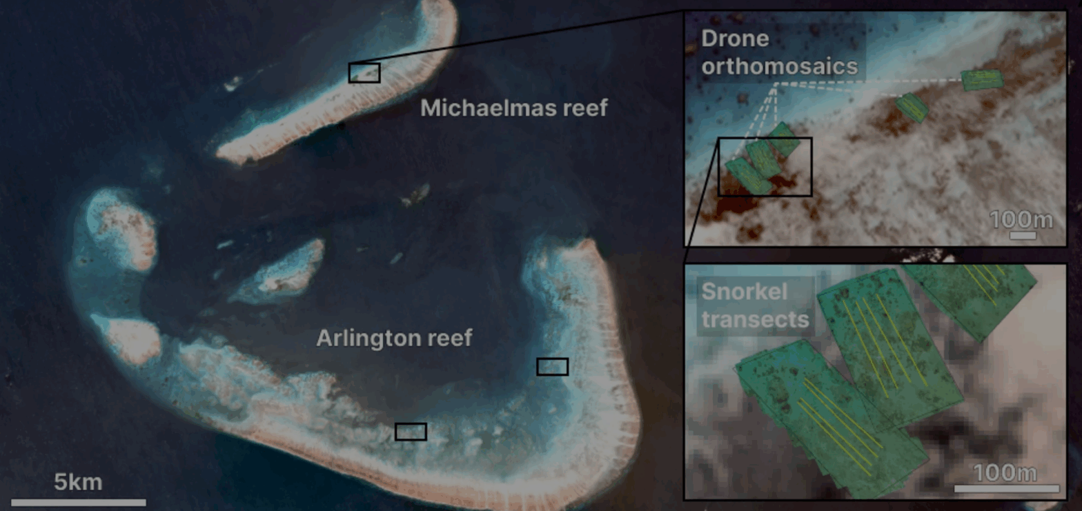 blog banner desktop image